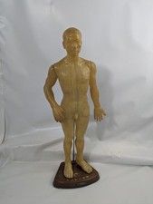 Large Acupuncture Male Model With Wooden Base 50cm Vintage 