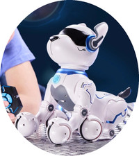 Remote control Ziggy The Robo