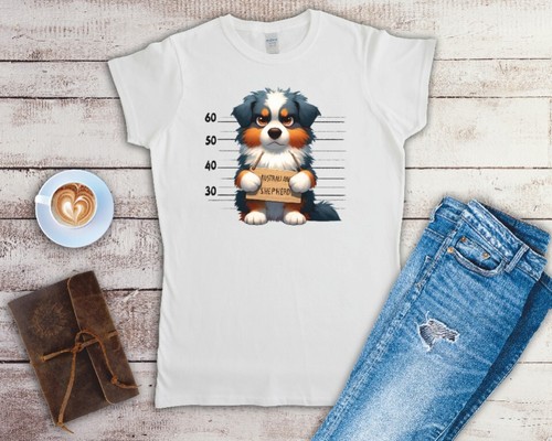 Australian shepherd dog - australian,