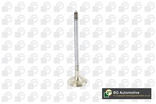 BGA V090106 Exhaust Valve