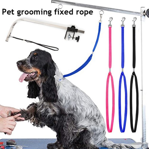 Dog grooming harness strap - harness,