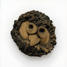 VINTAGE WELSH GROGG - STUDIO