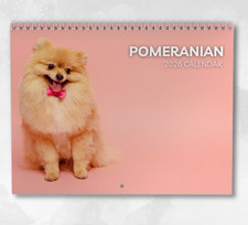 Pomeranian Calendar 2026: Monthly Wall Calendar with Notes, opens to A3 Size