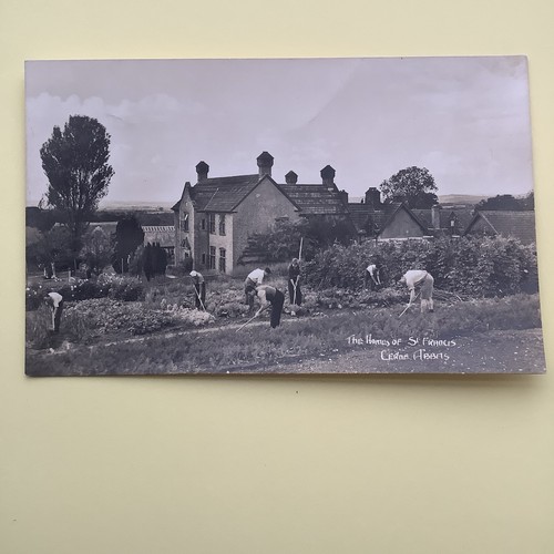 House francis cerne - house,