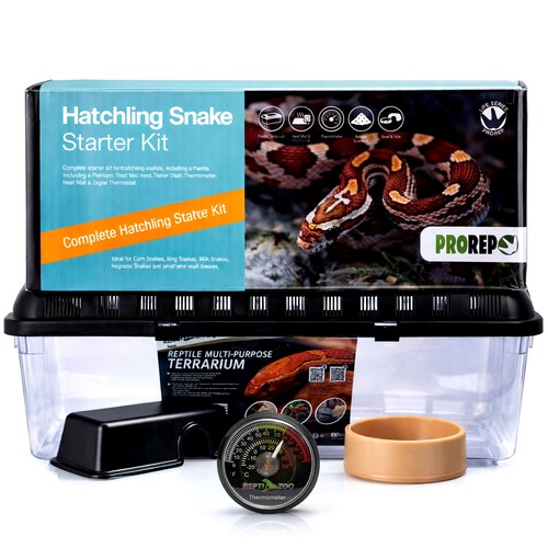 Prorep hatchling snake - prorep,