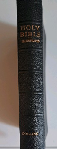 Illustrated 1950s holy bible - 1950s,