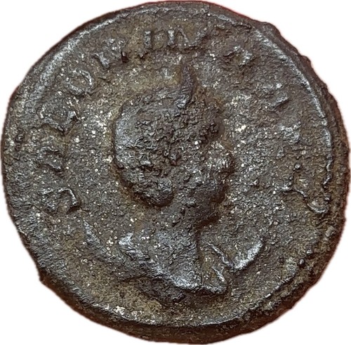 Salonina - salonina, of