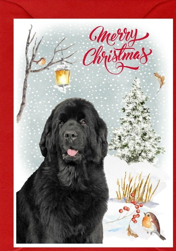 Newfoundland dog - x, 6")