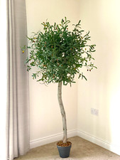 LARGE Realistic artificial