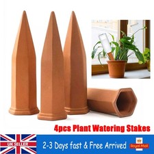 4/8 pack Terracotta Plant