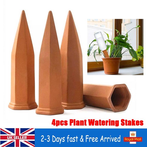 Pack terracotta plant - 4/8,
