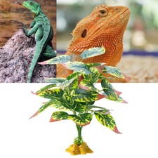 Reptiles Amphibians Tanks