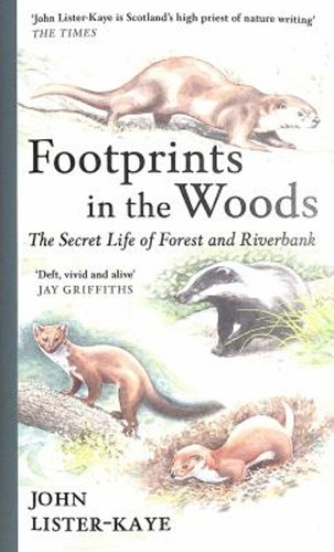 Footprints the woods - footprints,