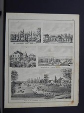Illinois, Grundy County Maps, 1874 Engraving, Farm, Horse Q2#80