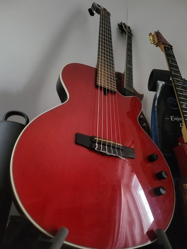 Cort nylectric - nylectric, £500)