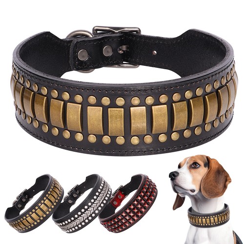 Cool studded dog collar - collar, 2"
