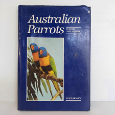 Australian Parrots - In Bush