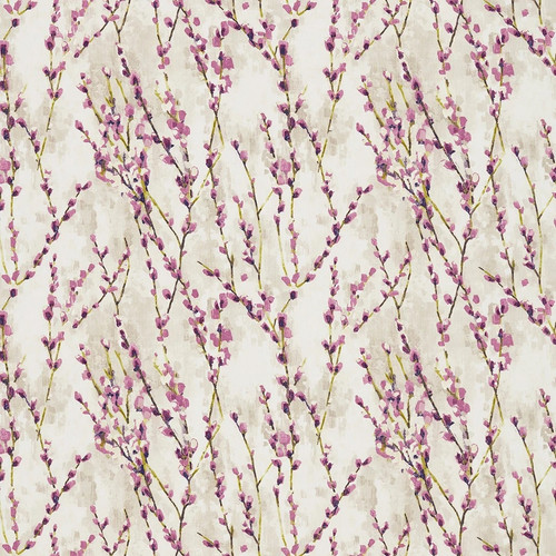 Harlequin salice plum 1m - salice,