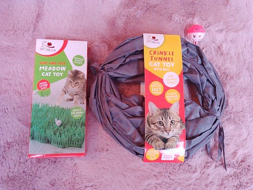 Cat bundle hide seek meadow - bundle, &seek