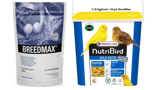 1lb orlux gold patee - gold, food