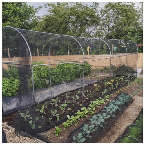 Walk fruit vegetable cage - in,