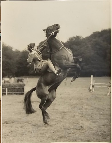 Vintage 1950s equestrian - 1950s,