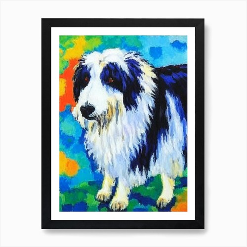 Polish lowland sheepdog - polish,
