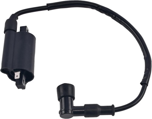 Ignition coil for - ignition,