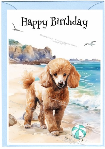 Poodle apricot dog birthday - apricot,