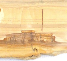 Pietra Paesina Italian