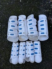 Premier Large White Equine