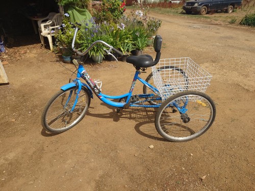 Mophoto tricycle - mophoto,