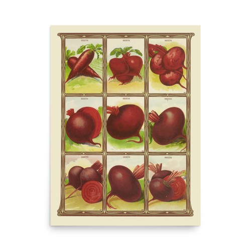 Seed packet wall - packet, art