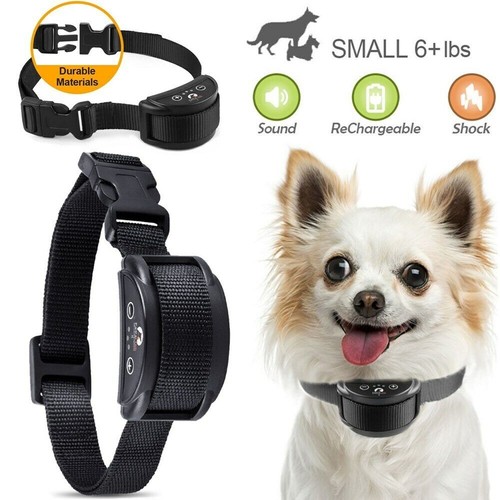 Anti bark collar - no,