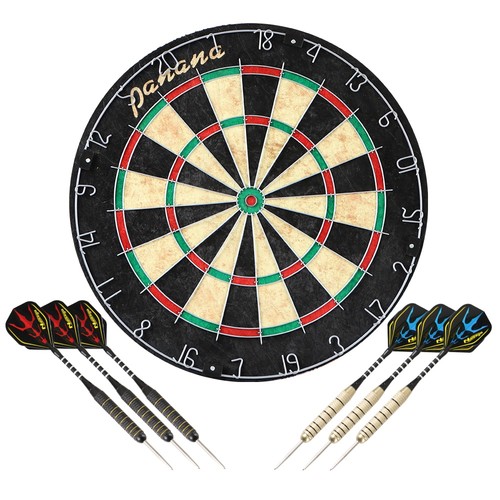 Dart board with professional - dart,