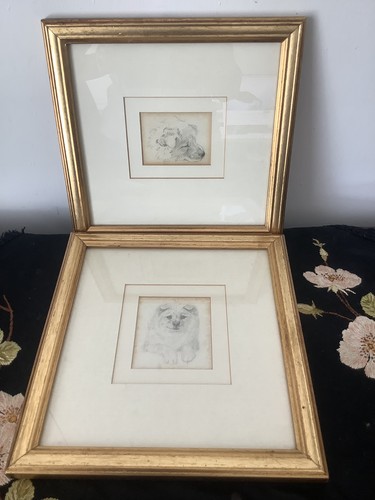 Horatio couldery dogs pencil - horatio,