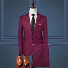2 Pieces Mens Elegant Suit Set