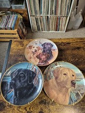 3x Labrador Plates - Collectable - 2x Franklin Mint & 1 Banbury Mint