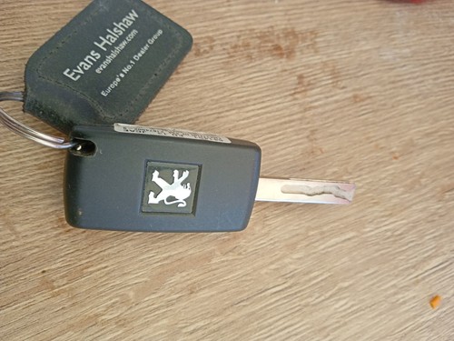 Peugeot car key - key, blade
