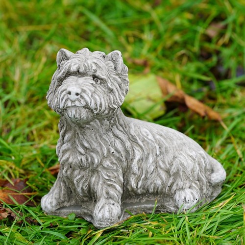 Vintage grey westie - westie, dog