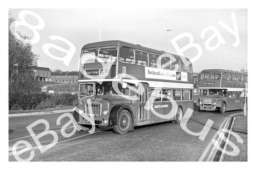 Bus photograph hants dorset - bus,