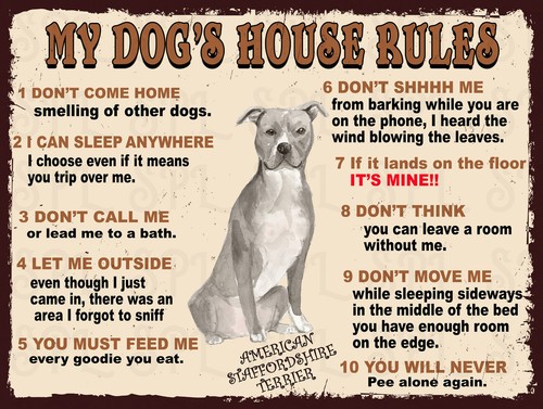 Dog house rules american - house,