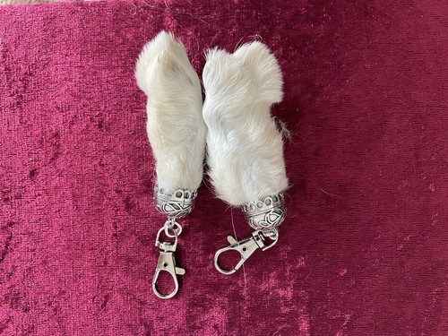 Lucky rabbits feet with - rabbits,