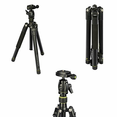 Giottos memoire tripod - giottos,