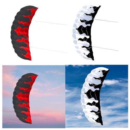 Parafoil kite two - parafoil,