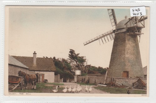 Selsey sussex the - ,
