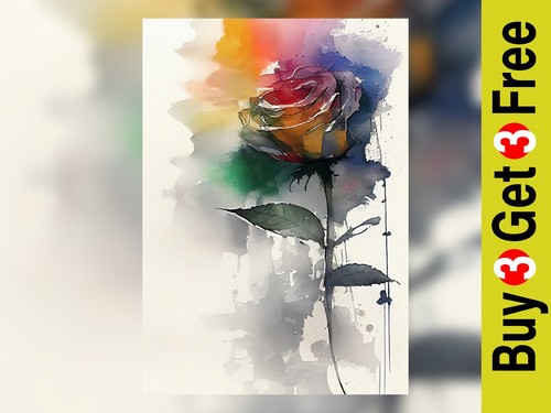 Bold colourful rose - bold,