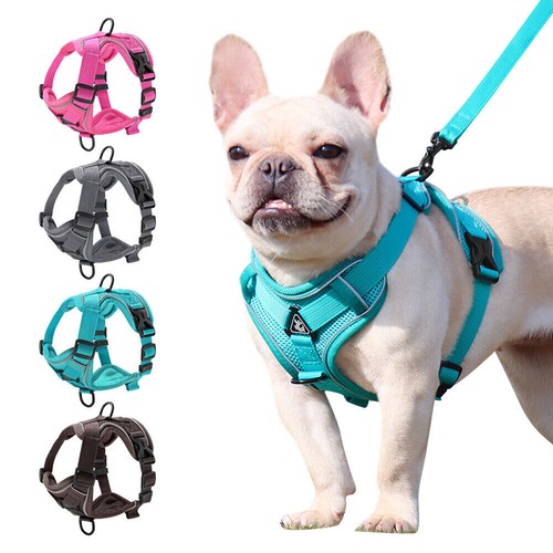 Step dog harness - harness, leash