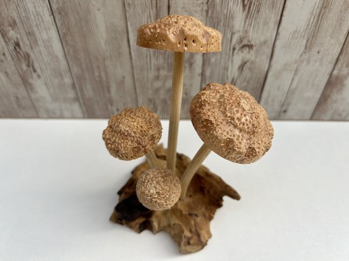 Wooden shitake mushroom - shitake,