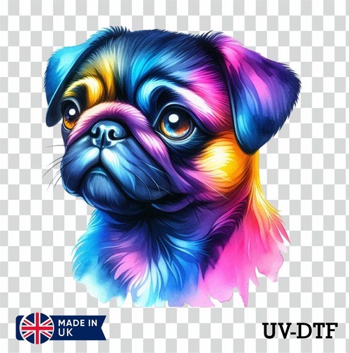 Pug puppy dog - puppy, uv